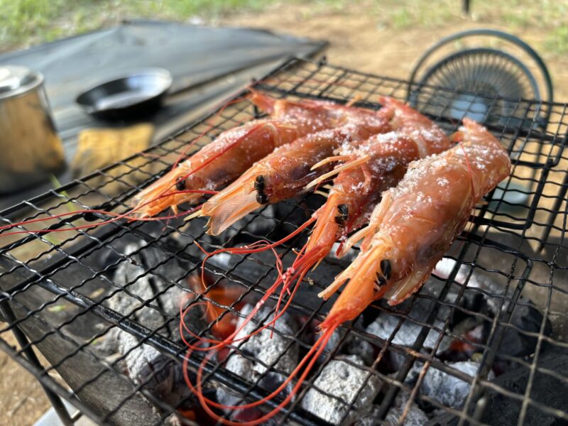 アルゼンチン赤エビ キャンプ 焼き バーベキュー